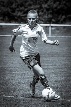 Bild 3514 - B-Juniorinnen FFC Oldesloe - Hamburger SV : Ergebnis: 2:8